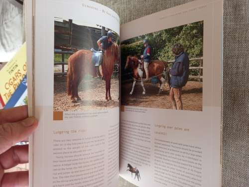 Horse Guides - Lungeing - be safe and proficient