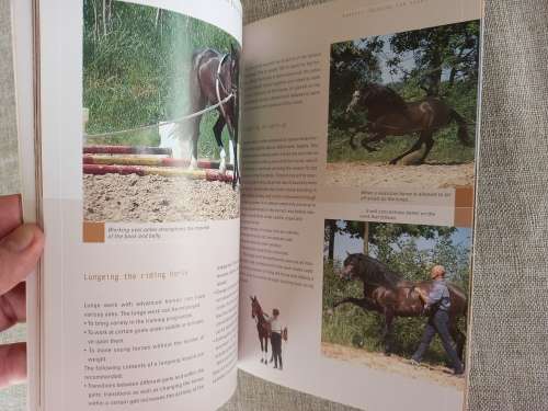 Horse Guides - Lungeing - be safe and proficient