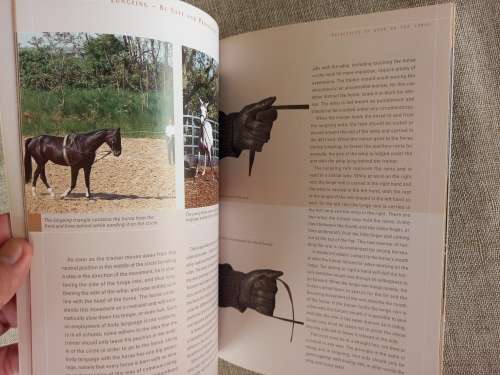 Horse Guides - Lungeing - be safe and proficient