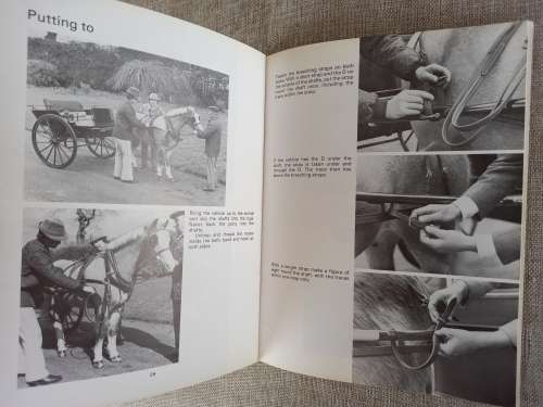 Harnessing Up -