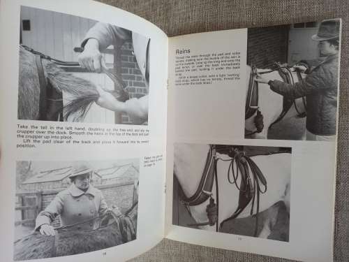 Harnessing Up -