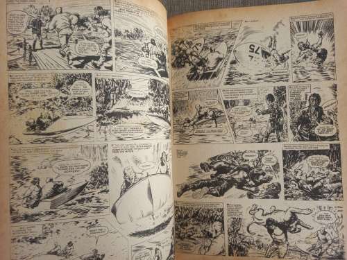 Tiger Annual 1976