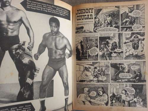 Tiger Annual 1976