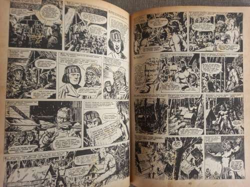 Tiger Annual 1976