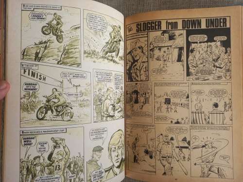 Tiger Annual 1981