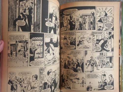 Tiger Annual 1981