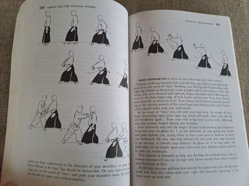Aikido and the Dynamic Sphere - an illustrated introduction