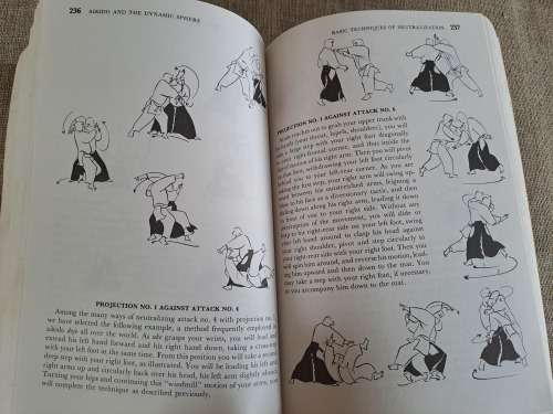 Aikido and the Dynamic Sphere - an illustrated introduction