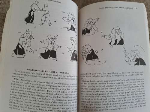 Aikido and the Dynamic Sphere - an illustrated introduction