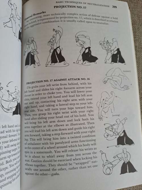 Aikido and the Dynamic Sphere - an illustrated introduction