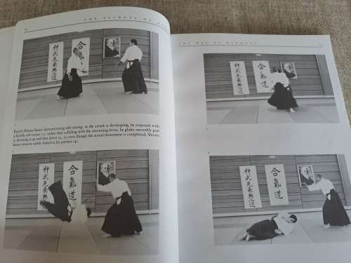 The Secrets of Aikido - John Stevens