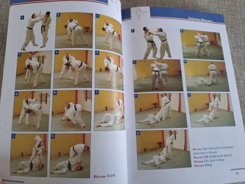 Taekwondo self defense - Holler / Maluschka