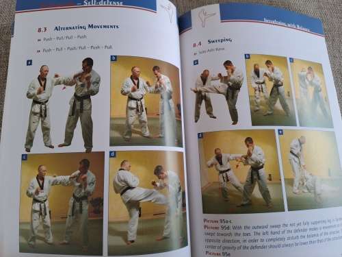Taekwondo self defense - Holler / Maluschka