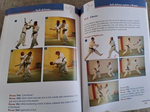 Taekwondo self defense - Holler / Maluschka