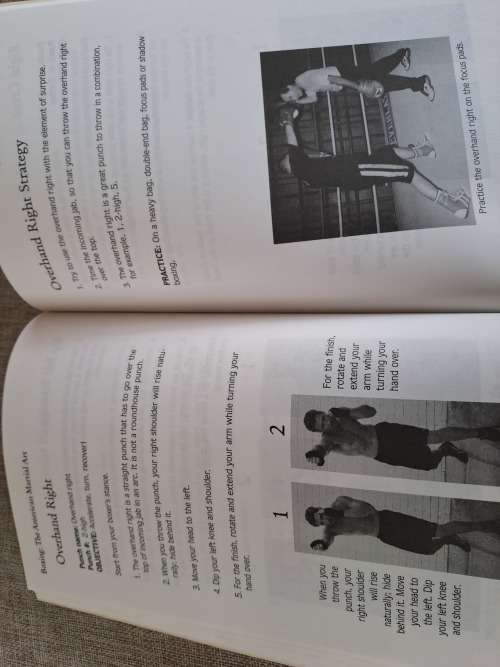 Boxing - The American Martial Art - R.Michael Onello