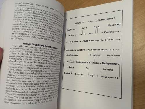 Hsing-I - James W McNeil