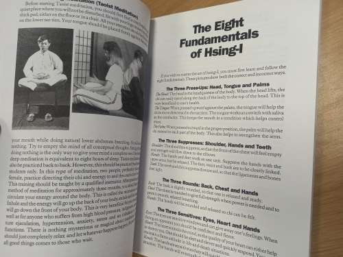 Hsing-I - James W McNeil