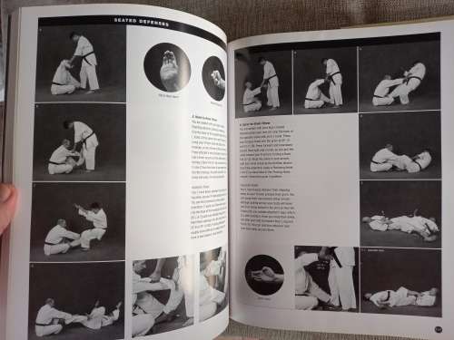 The Art of Ground Fighting - principles and techniques - MarcTedeschi