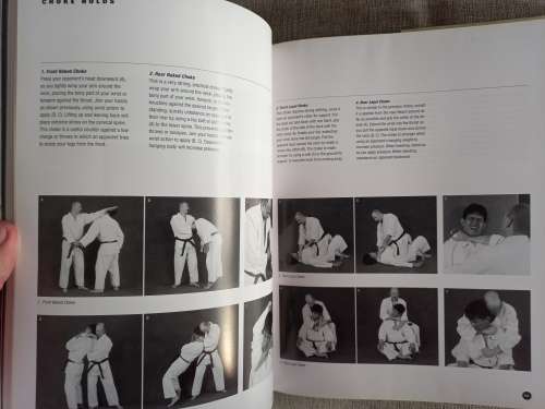 The Art of Ground Fighting - principles and techniques - MarcTedeschi