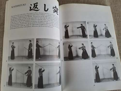 Jodo - Way of the Stick - Michael Finn