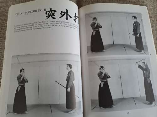 Jodo - Way of the Stick - Michael Finn