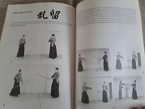 Jodo - Way of the Stick - Michael Finn