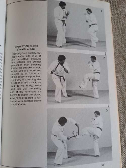 Nunchaku in Action - Joseph C. Hess
