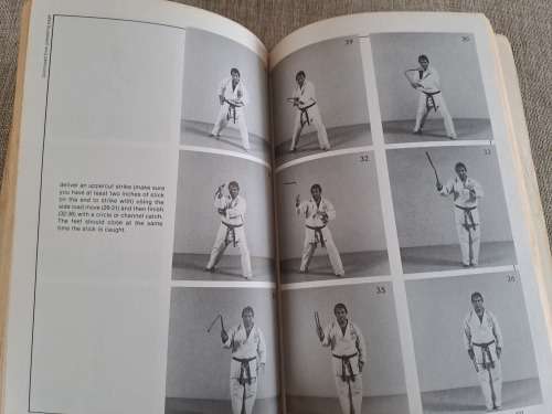 Nunchaku in Action - Joseph C. Hess