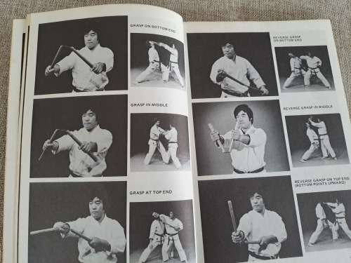 Advanced Nunchaku - Famio Demura and Dan Ivan