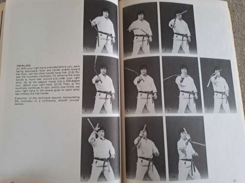 Advanced Nunchaku - Famio Demura and Dan Ivan