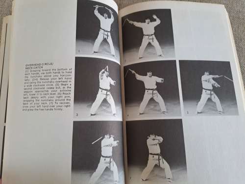 Advanced Nunchaku - Famio Demura and Dan Ivan