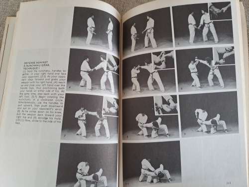 Advanced Nunchaku - Famio Demura and Dan Ivan