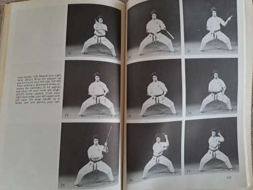 Advanced Nunchaku - Famio Demura and Dan Ivan