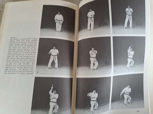 Advanced Nunchaku - Famio Demura and Dan Ivan