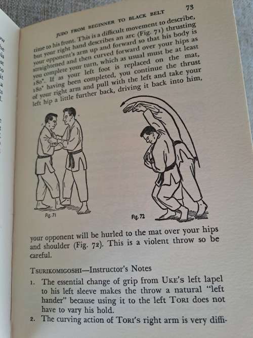 Judo - Beginner to Black Belt - Dominy