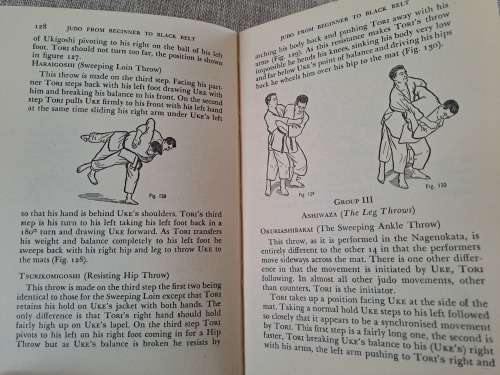 Judo - Beginner to Black Belt - Dominy