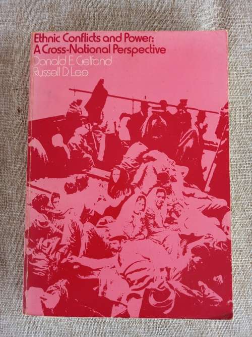 Ethnic Conflicts and Power : a cross-national perspective - Donald E Gelfand Russell D Lee