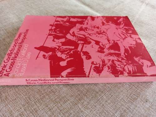 Ethnic Conflicts and Power : a cross-national perspective - Donald E Gelfand Russell D Lee