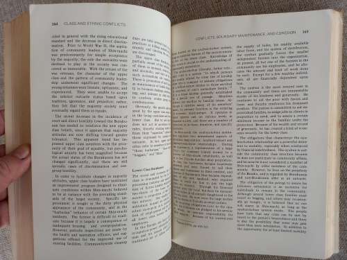 Ethnic Conflicts and Power : a cross-national perspective - Donald E Gelfand Russell D Lee
