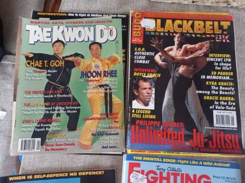 Fighting Arts and other mags x 10 / Black Belt etc
