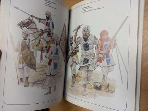 Queen Victoria`s Enemies (2) : Northern Africa (Men-At-Arms Series, 215) - Osprey publishing