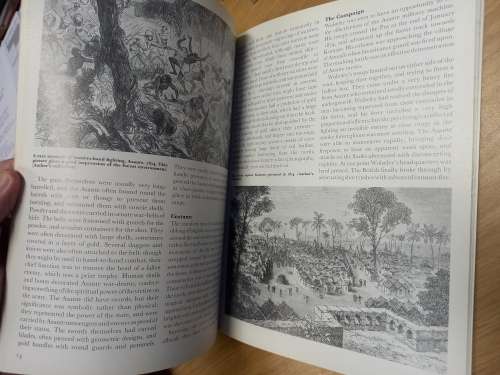 Queen Victoria`s Enemies (2) : Northern Africa (Men-At-Arms Series, 215) - Osprey publishing