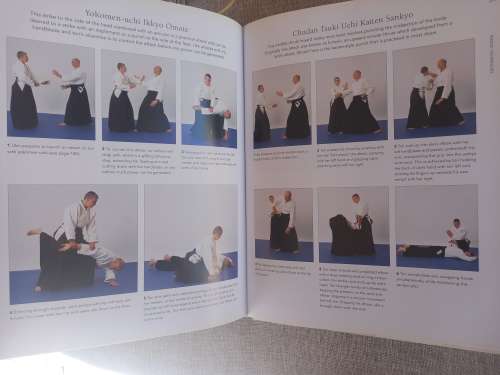 Tai Chi & Aikido: Learn the way of spiritual harmony with two ancient martial arts