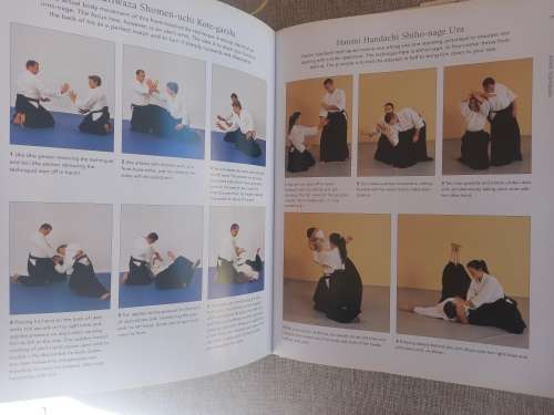 Tai Chi & Aikido: Learn the way of spiritual harmony with two ancient martial arts