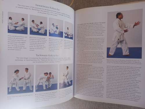 Tai Chi & Aikido: Learn the way of spiritual harmony with two ancient martial arts
