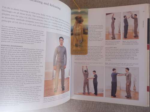 Tai Chi & Aikido: Learn the way of spiritual harmony with two ancient martial arts
