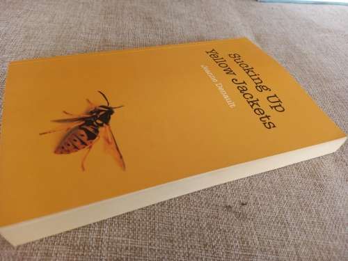 Sucking Up Yellow Jackets - Asperger Syndrome - Jeanne Denault