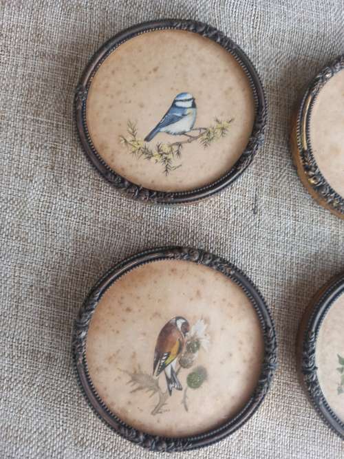Bird Wall Mounted picture frames x 6
