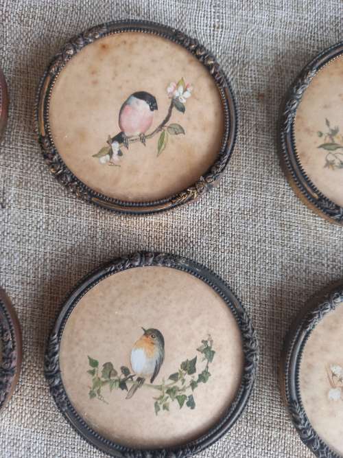 Bird Wall Mounted picture frames x 6