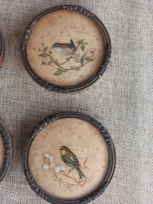 Bird Wall Mounted picture frames x 6
